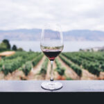 periodo per imbottigliare il vino