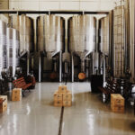 aprire un birrificio artigianale