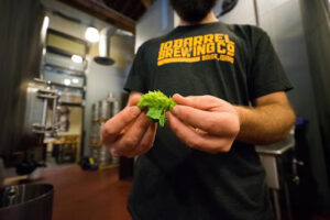 produce beer