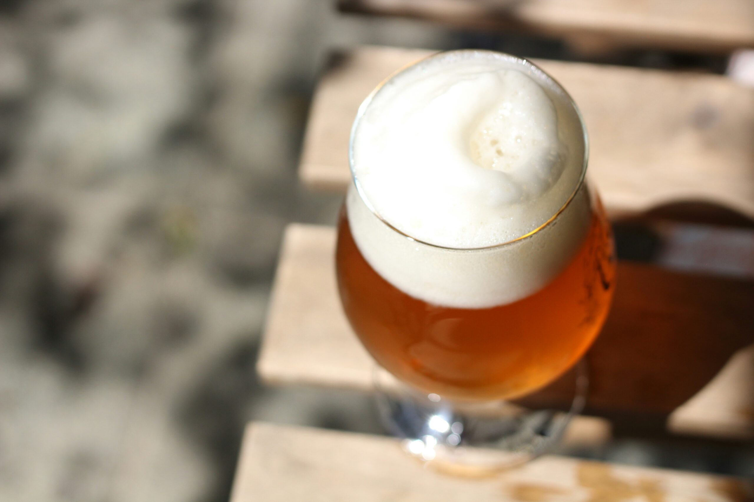 lieviti per fare la birra