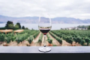 Quando engarrafar o vinho Calendário lunar 2026